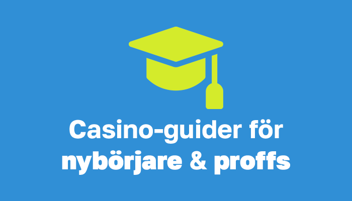 casino guider